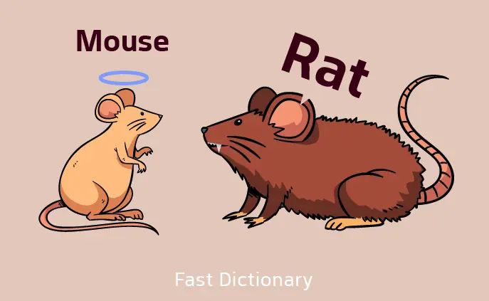 تفاوت rat و mouse چیست؟