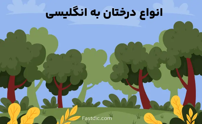 انواع درختان به انگلیسی