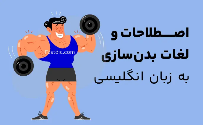 لغات و اصطلاحات بدنسازی به انگلیسی